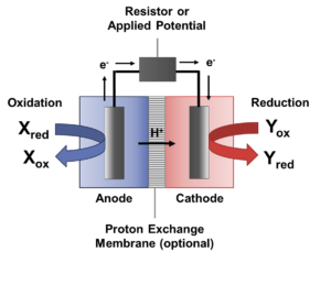 Bioelectrochemical System Schematic