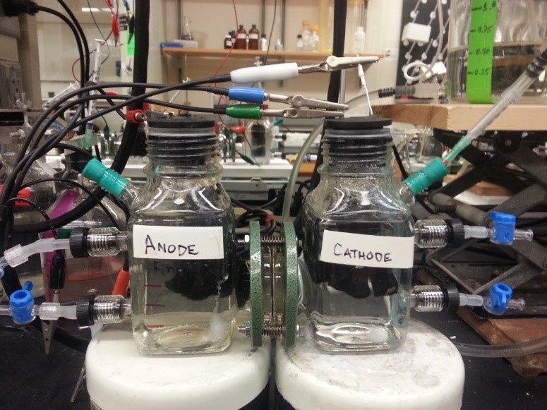 Students – Environmental Biotechnology Lab